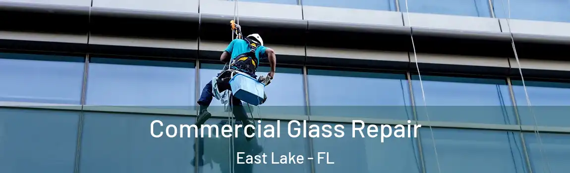  Commercial Glass Repair East Lake - FL