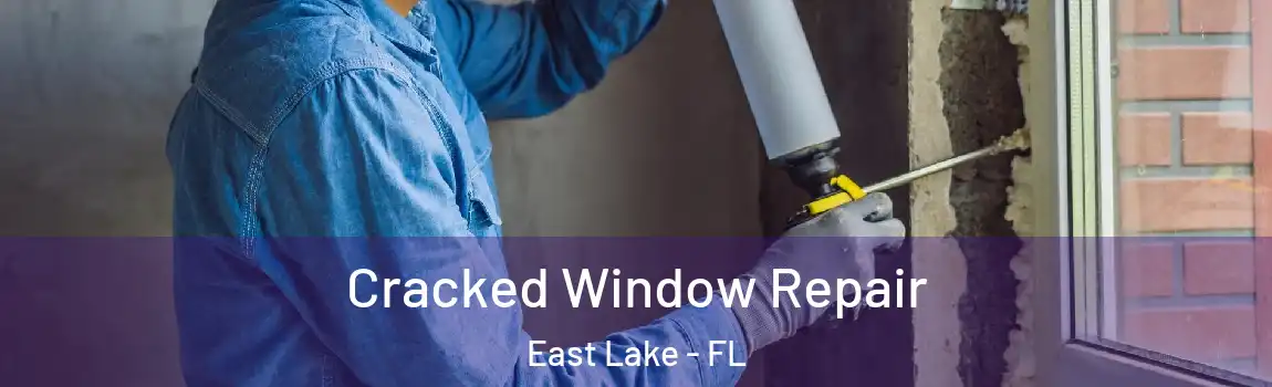 Cracked Window Repair East Lake - FL