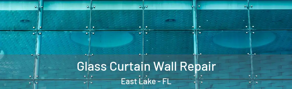  Glass Curtain Wall Repair East Lake - FL