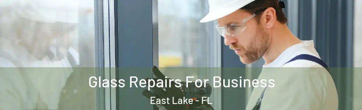  Glass Repairs For Business East Lake - FL