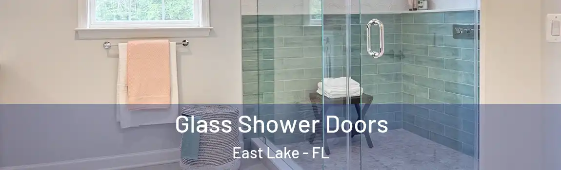  Glass Shower Doors East Lake - FL
