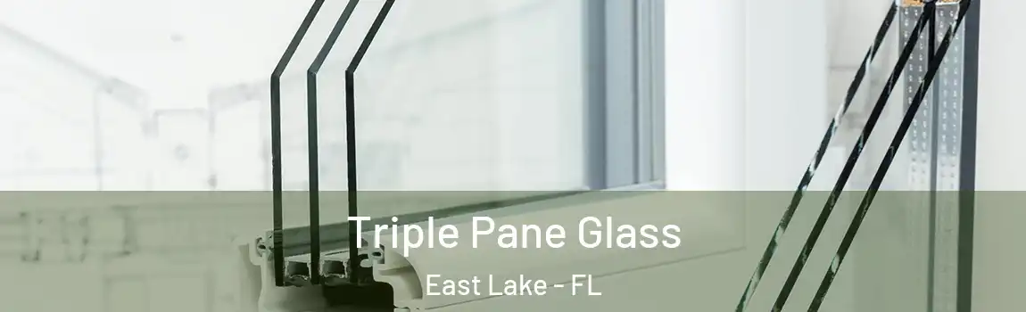 Triple Pane Glass East Lake - FL
