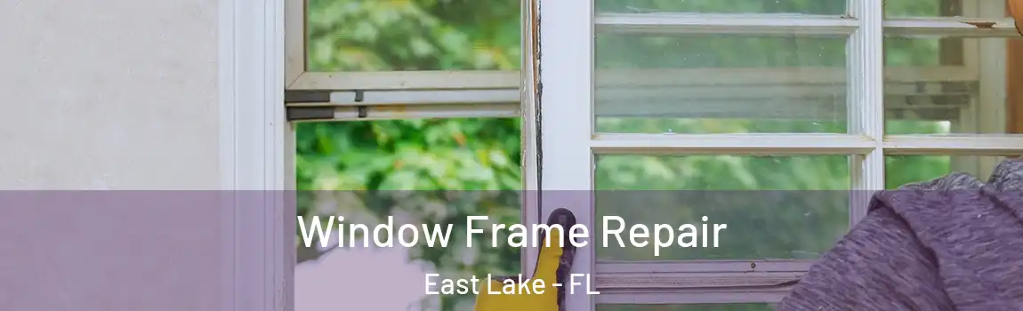  Window Frame Repair East Lake - FL