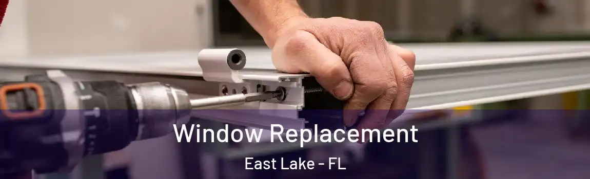 Window Replacement East Lake - FL