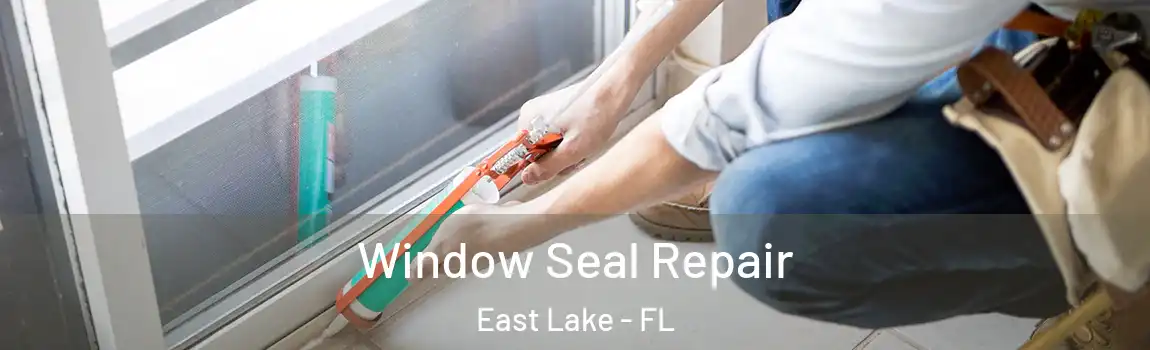 Window Seal Repair East Lake - FL